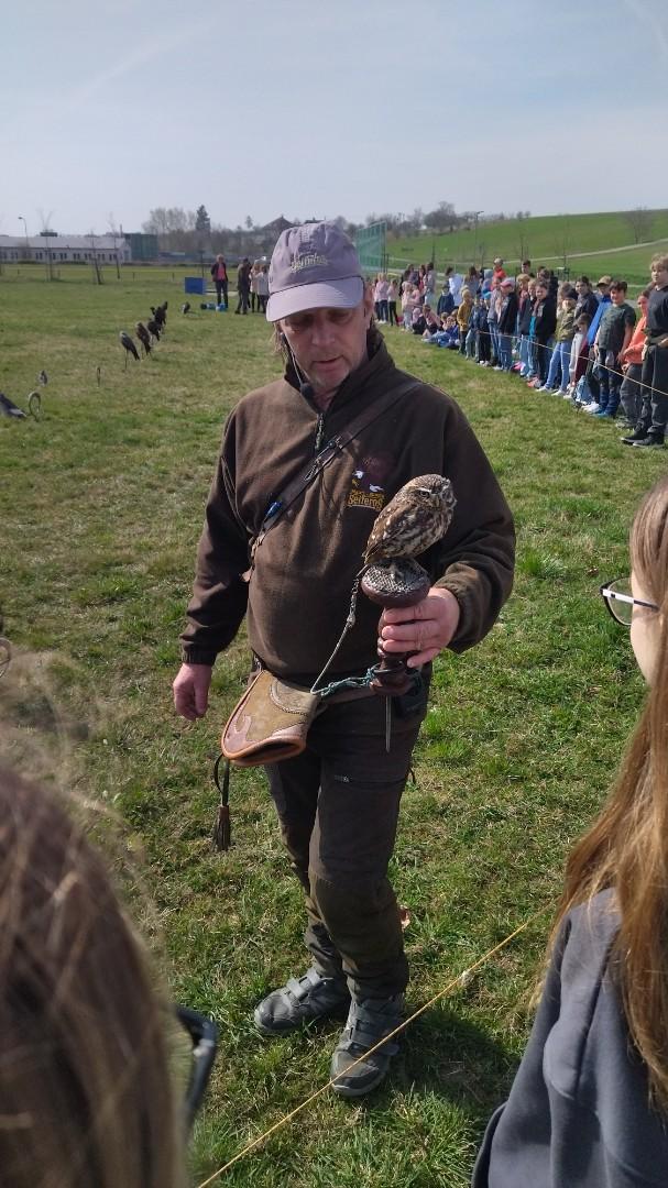 Seiferos - ukázka dravých ptáků