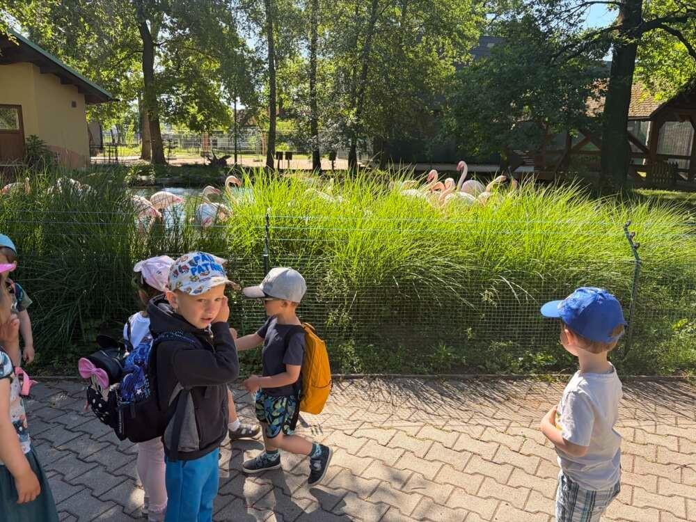 Výlet do ZOO Hodonín